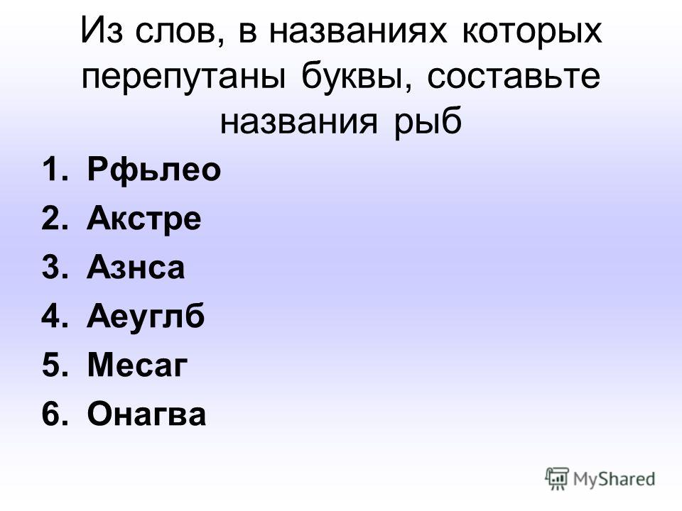 огромный толстолобик фото огромный толстолобик фото