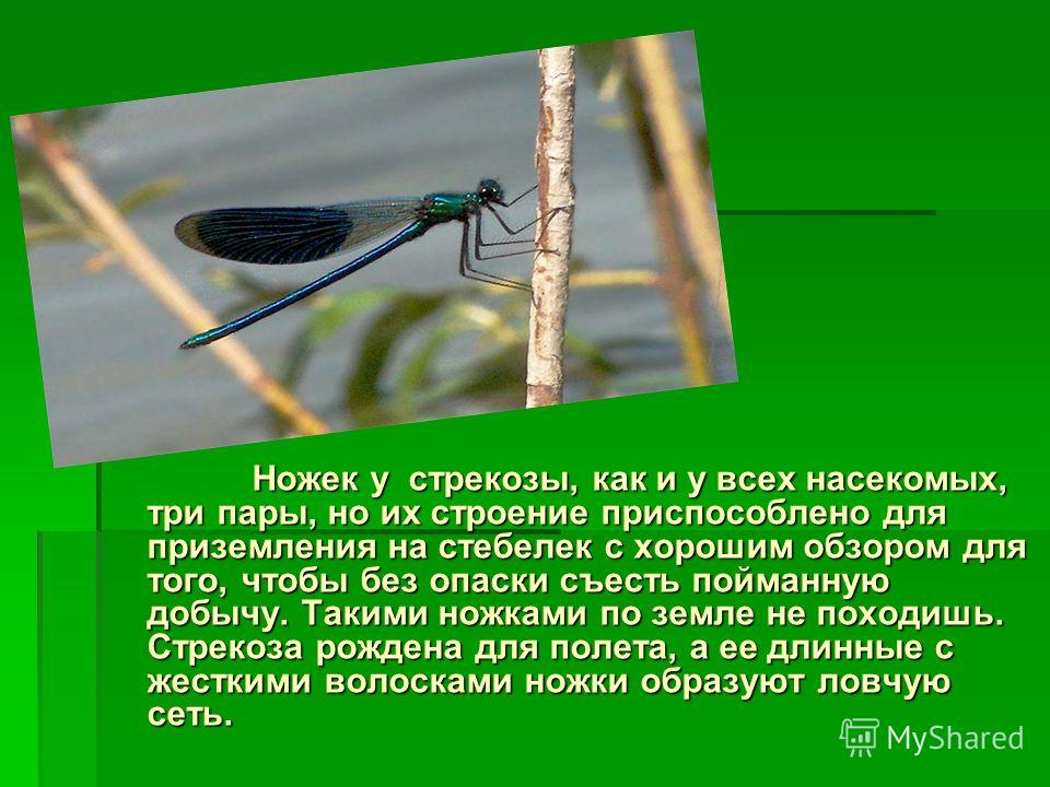 Смотрите самое Крутое порно видео бесплатно