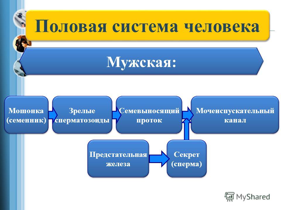 сперма во влагалище просмотр бесплатно сперма во влагалище просмотр бесплатно