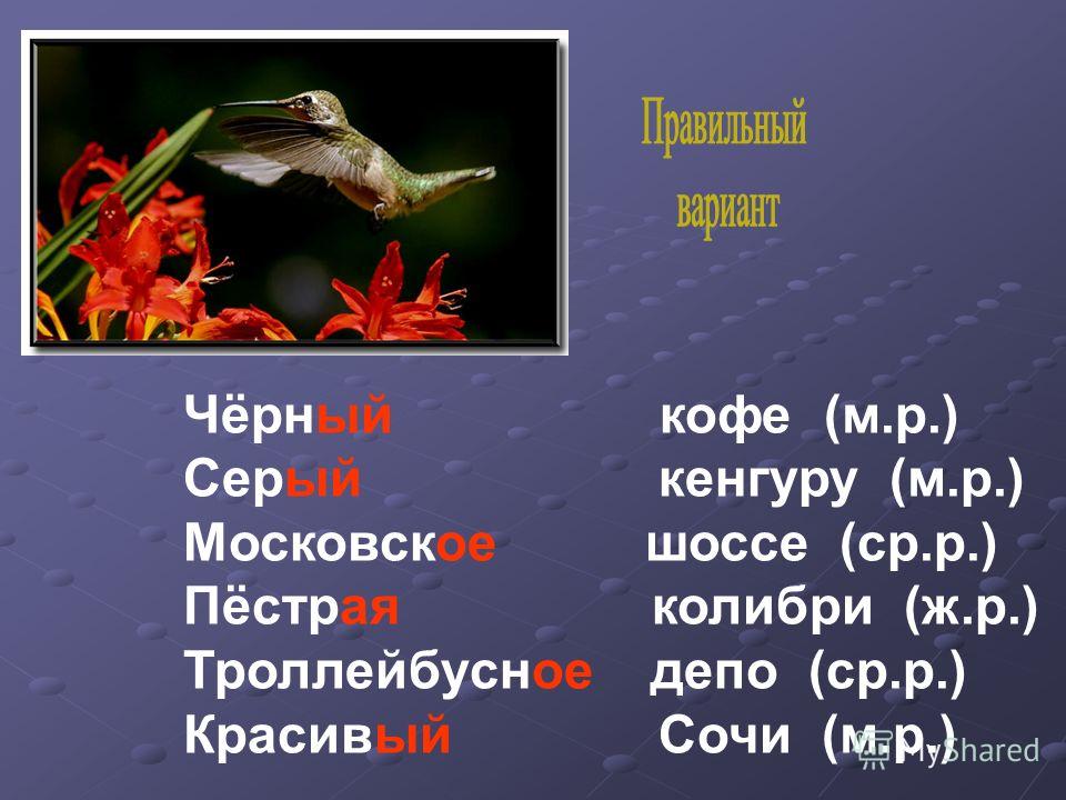 Рабочая программа по английскому языку 5 9 класс биболетова фгос