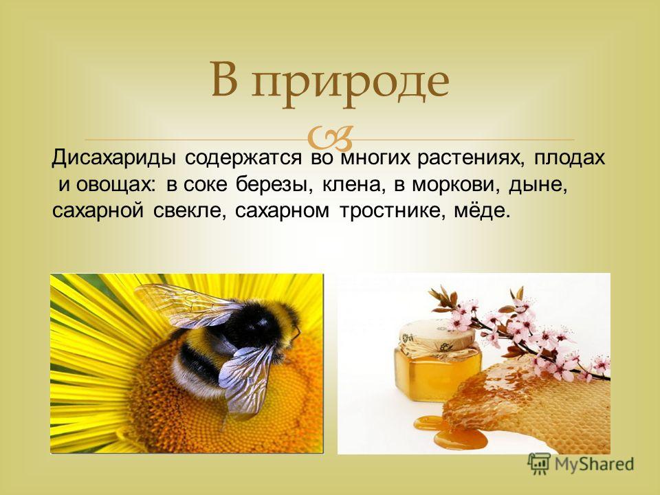 скачать учебник 9 класс epub