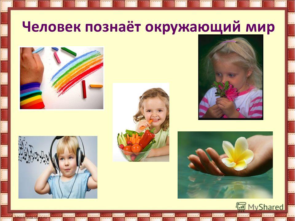 Бабайцева Рабочая Программа Русский Язык Скачать Бабайцева Рабочая Программа Русский Язык Скачать