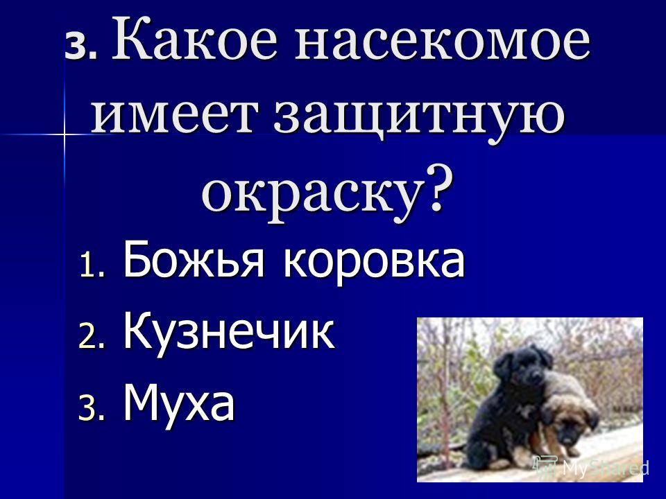 Егэ за 4 класс окружающий мир