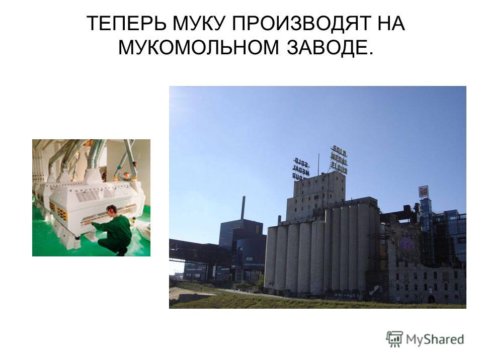 Зерна от плевел: цитаты, высказывания, афоризмы на сайте Святое Евангелие от Матфея с толкованием Святых Отцов (Троицкие листки)