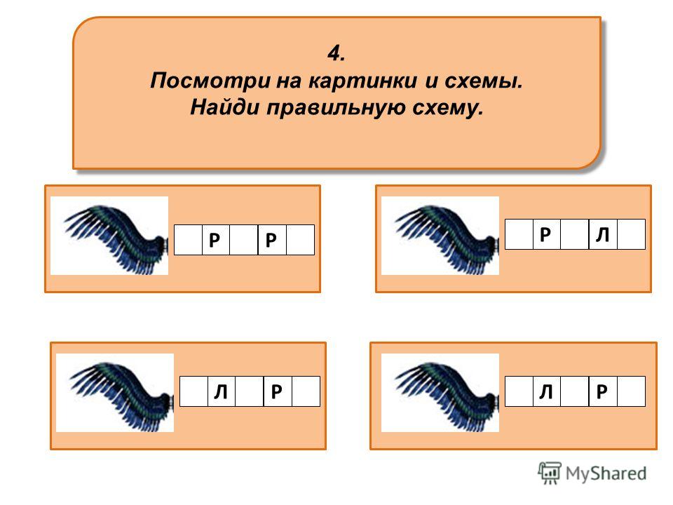 Соотнеси рисунок и схему Соотнеси рисунок и схему