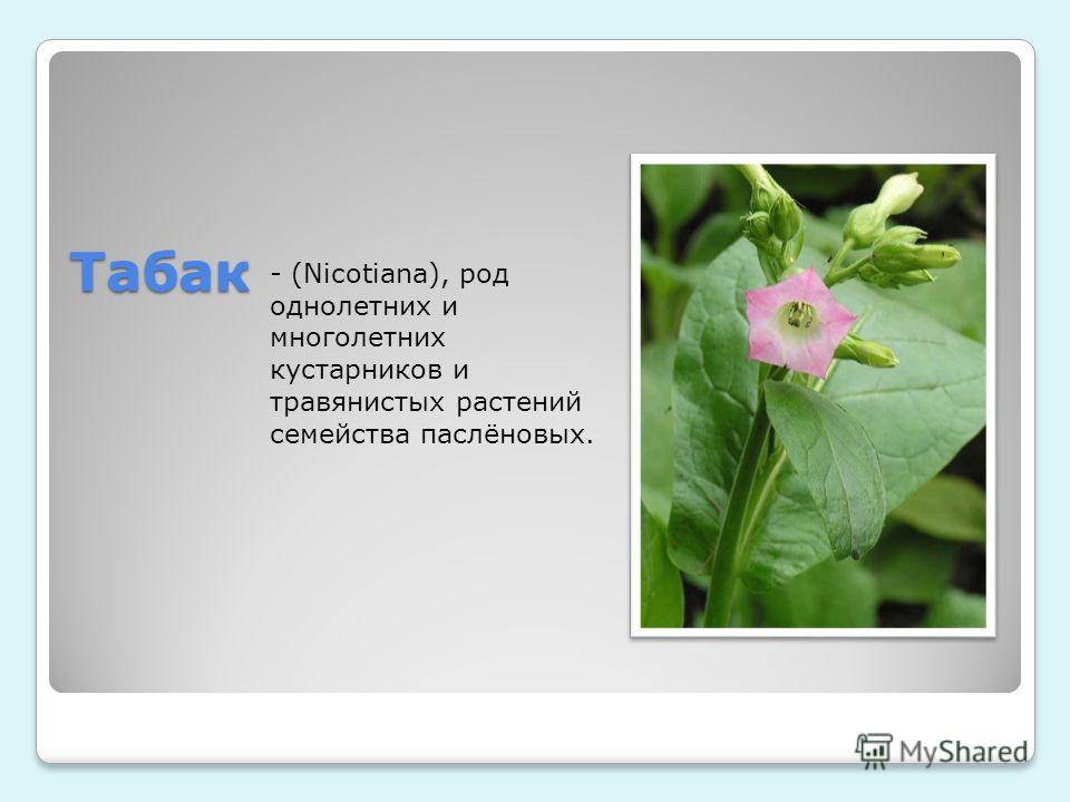 почему запах изо рта как перегар почему запах изо рта как перегар