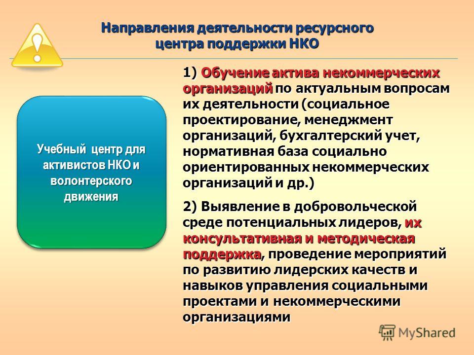 Цель задачи и особенности деятельности некоммерческих организаций индивидуальный