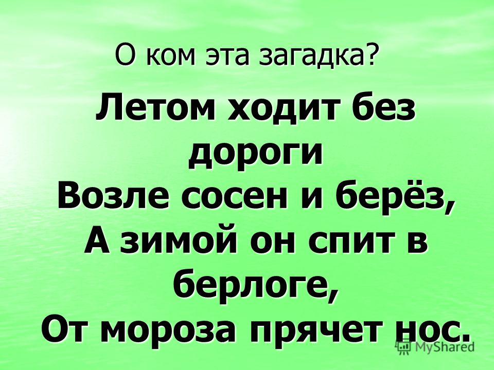 Когда необходимо менять резину на зимнюю по пдд