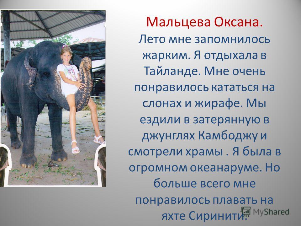 Как мы отдыхали летом картинки Как мы отдыхали летом картинки