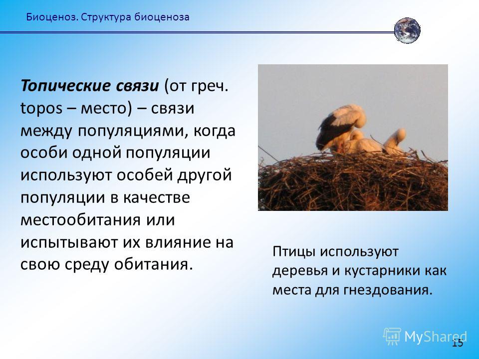 [PUNIQRANDLINE-(au-dating-names.txt) 44 Связи популяций в биоценозах реферат 1800