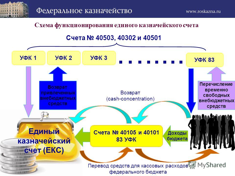 Единый казначейский счет схема Единый казначейский счет схема