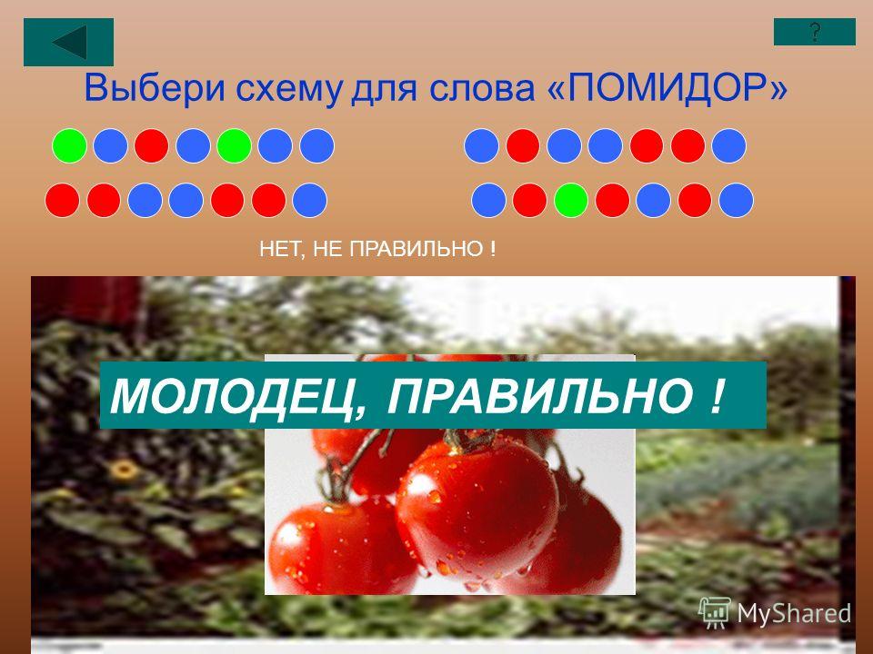 Звуковая схема слова помидор