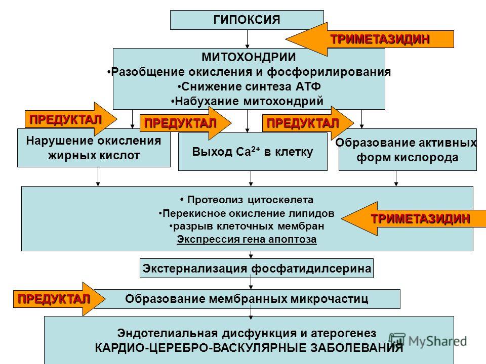 Палец на ноге мизинец болит в суставе
