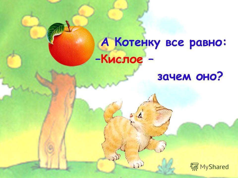 Яблоко почему сладкий Яблоко почему сладкий