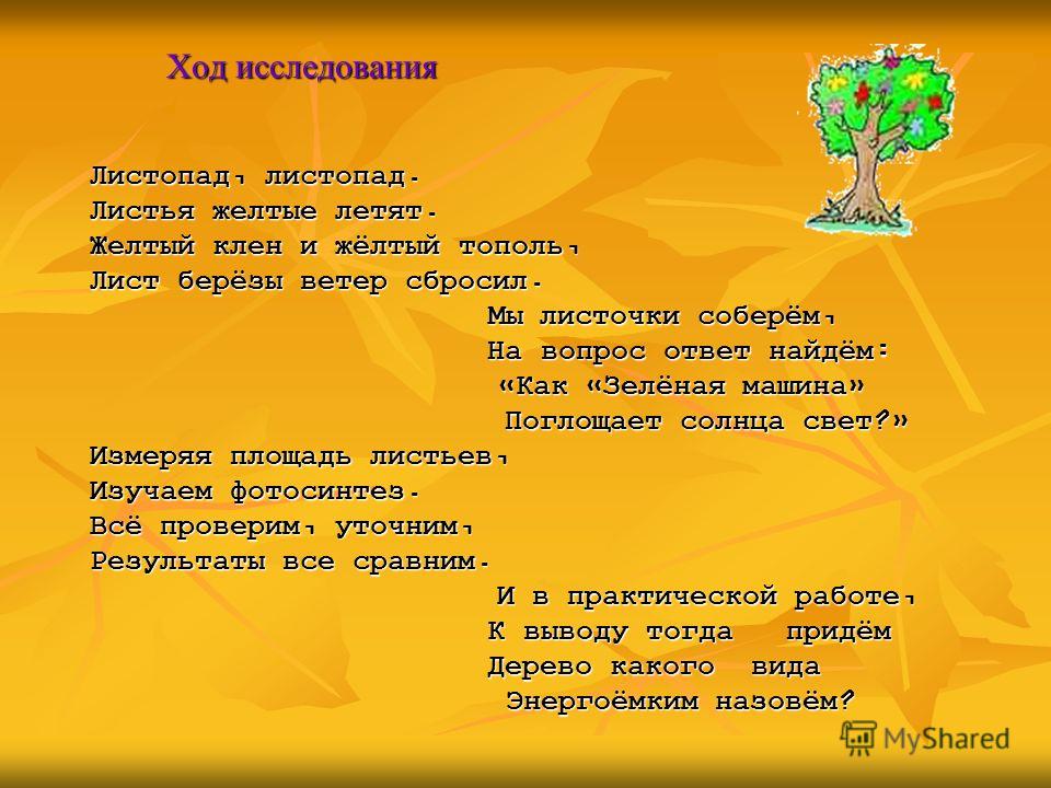 Когда заканчивается листопад у лип кленов и других деревьев?
