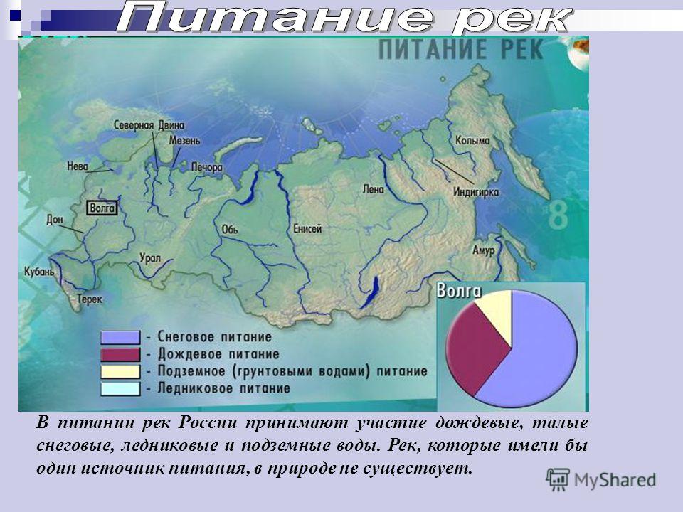 В питании рек России принимают участие дождевые, талые снеговые, ледниковые и подземные воды. Рек, которые имели бы один источник питания, в природе не существует.