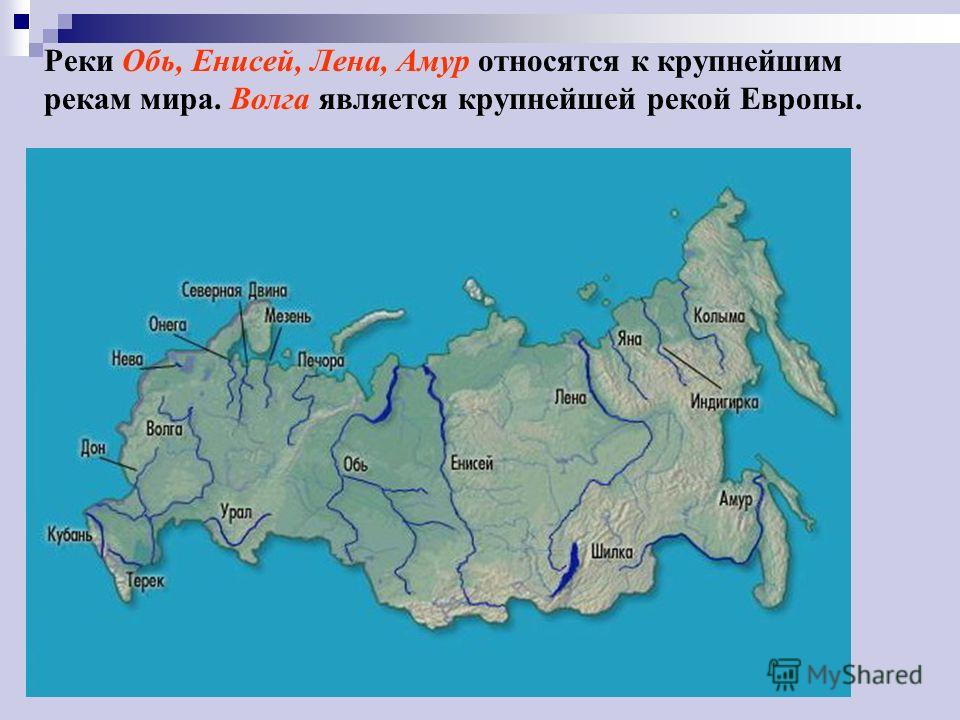 Реки Обь, Енисей, Лена, Амур относятся к крупнейшим рекам мира. Волга является крупнейшей рекой Европы.