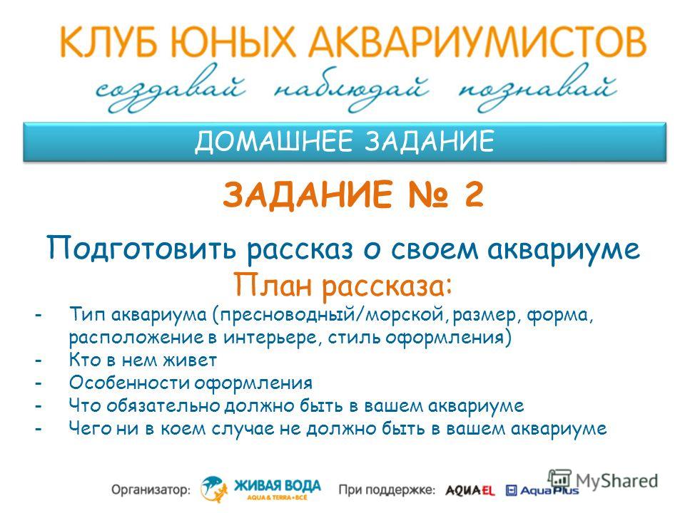 Аквариумные рыбки петушки: содержание и уход, температура, оформление Запуск аквариума для петушка. Пошаговая инструкция для начинающих