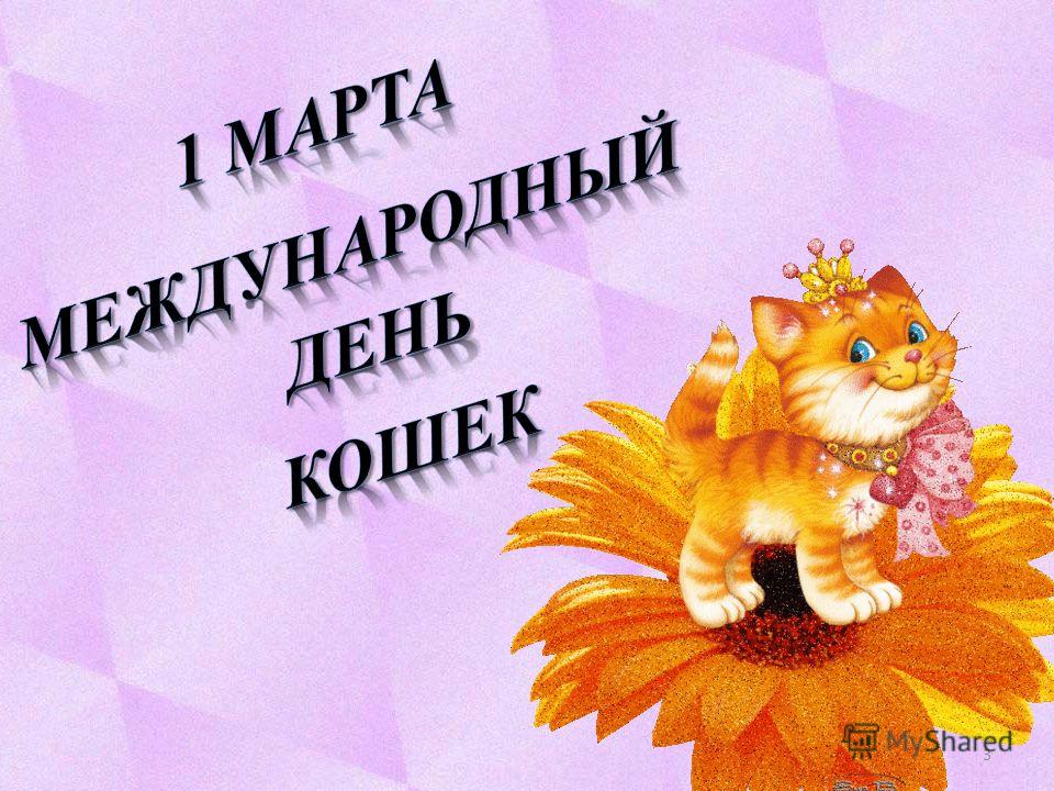 День кошек международный открытки День кошек международный открытки