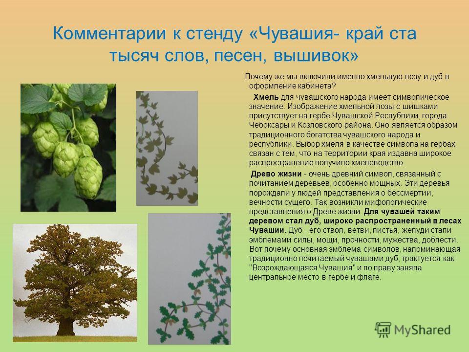 Ростовые куклы и выкройки к ним Ростовые куклы и выкройки к ним