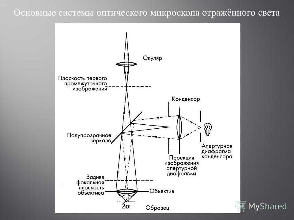 Принципиальная схема оптического микроскопа Схема микроскопа оптика