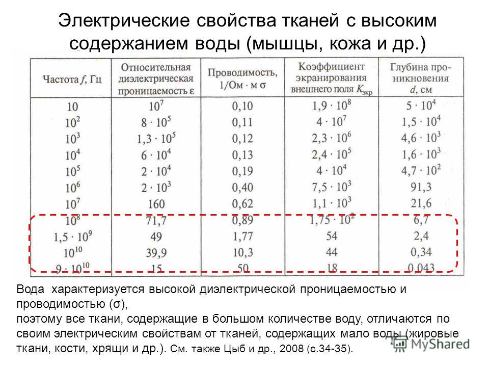 Dielektricheskaya Dielektricheskaya