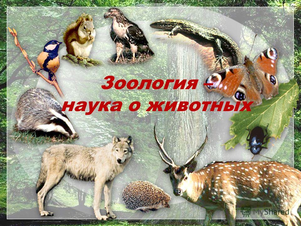 [PUNIQRANDLINE-(au-dating-names.txt) 26 Доклад на тему зоология наука о животных 3450