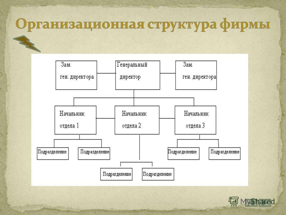 Презентация на тему: "РАЗРАБОТКА БРЕНДА И ИЗМЕНЕНИЕ СТРАТЕГИИ РАЗВИТИЯ ООО "ЗООМ