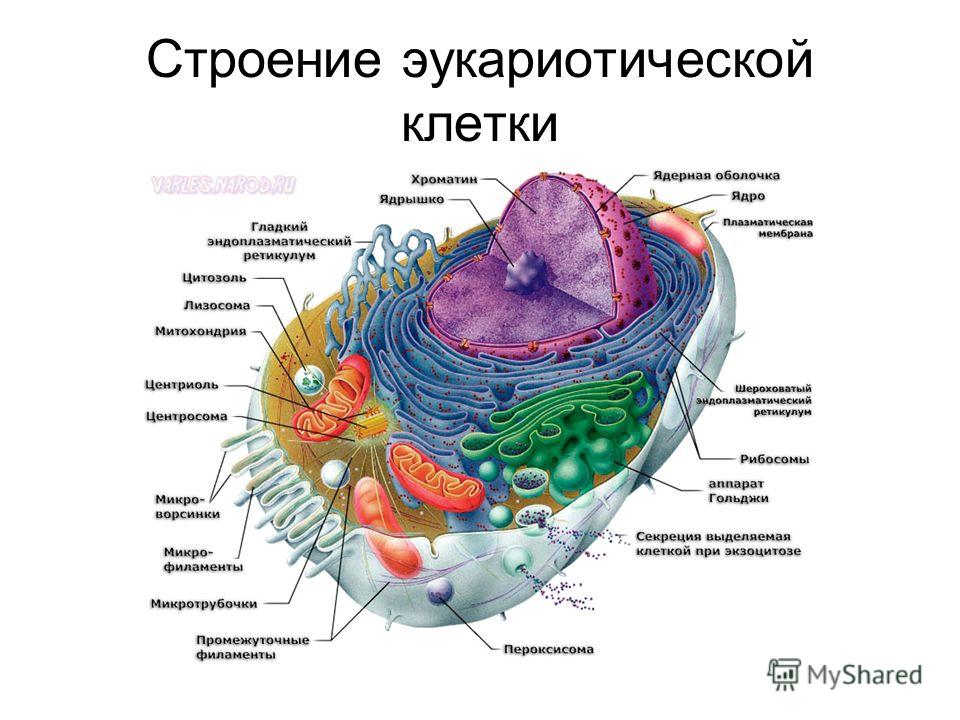 Как сделать дельтаплан своими 509