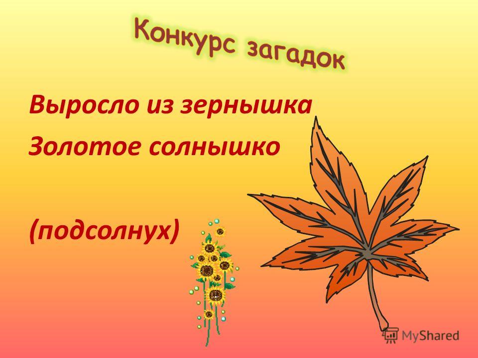 Название связанное с осенью Название связанное с осенью