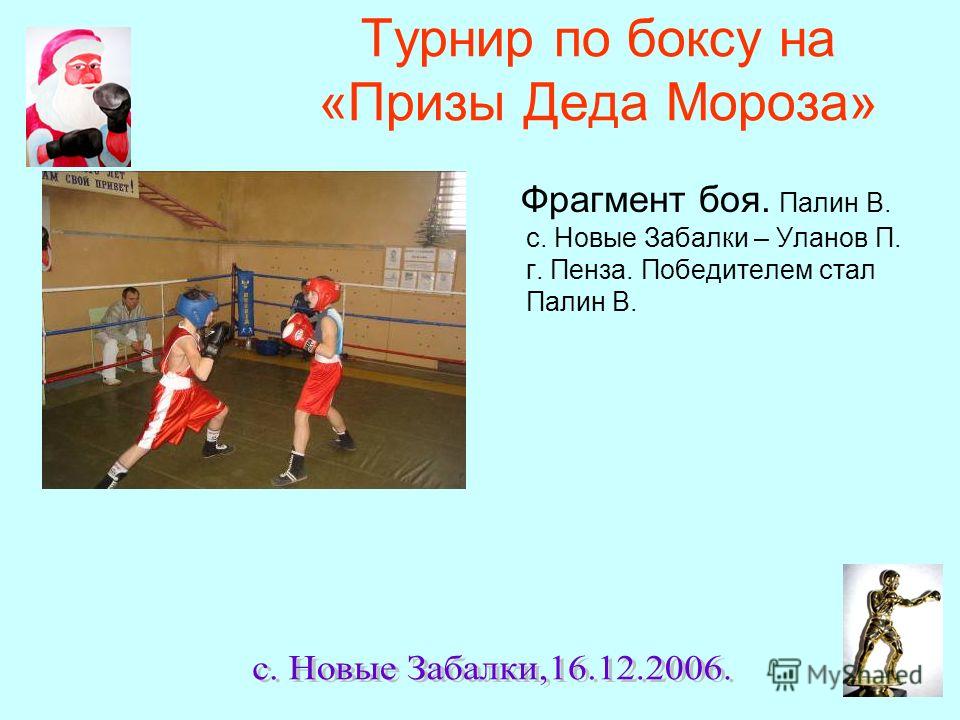 Палин Пенза