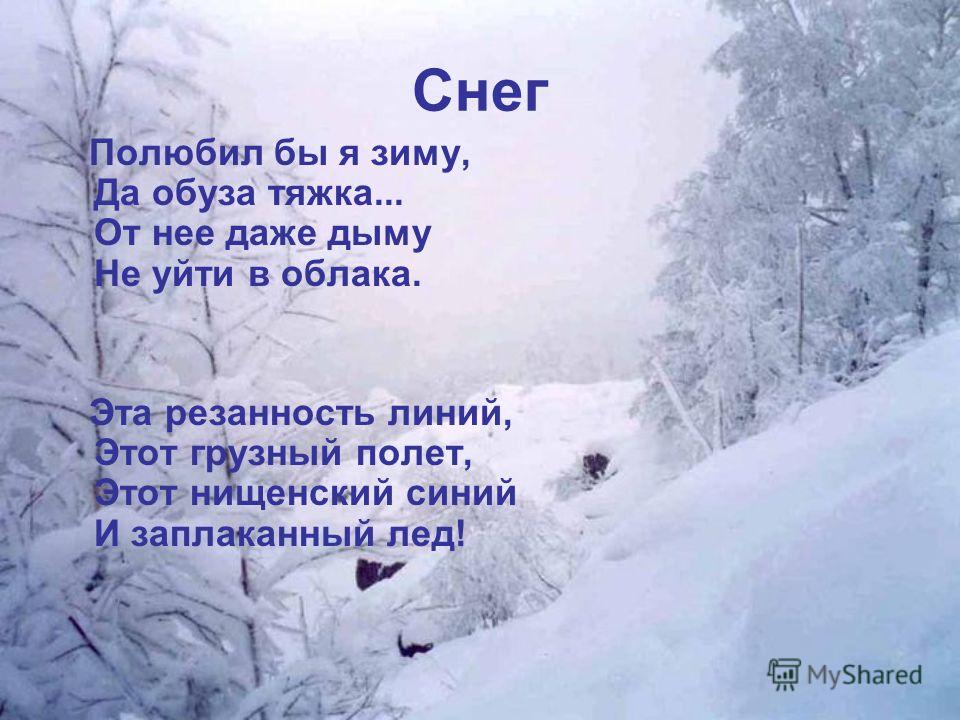 Стих снег полюбил бы я зиму Стих снег полюбил бы я зиму
