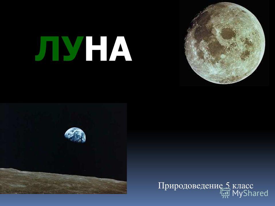 Реферат 5 Клас Природознавство Реферат 5 Клас Природознавство