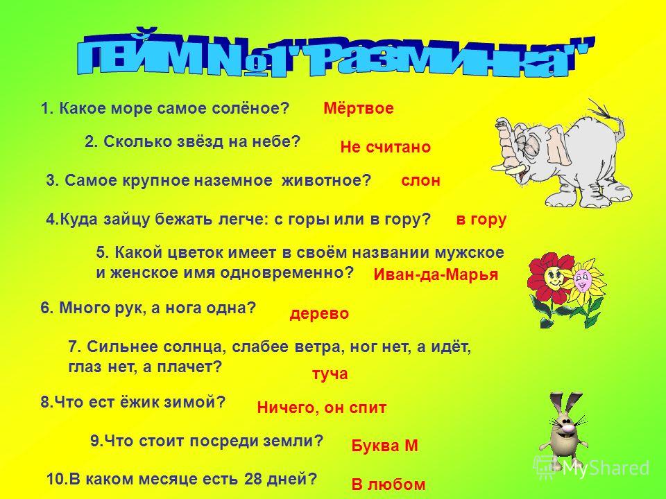 Домашний цветок плачет Домашний цветок плачет