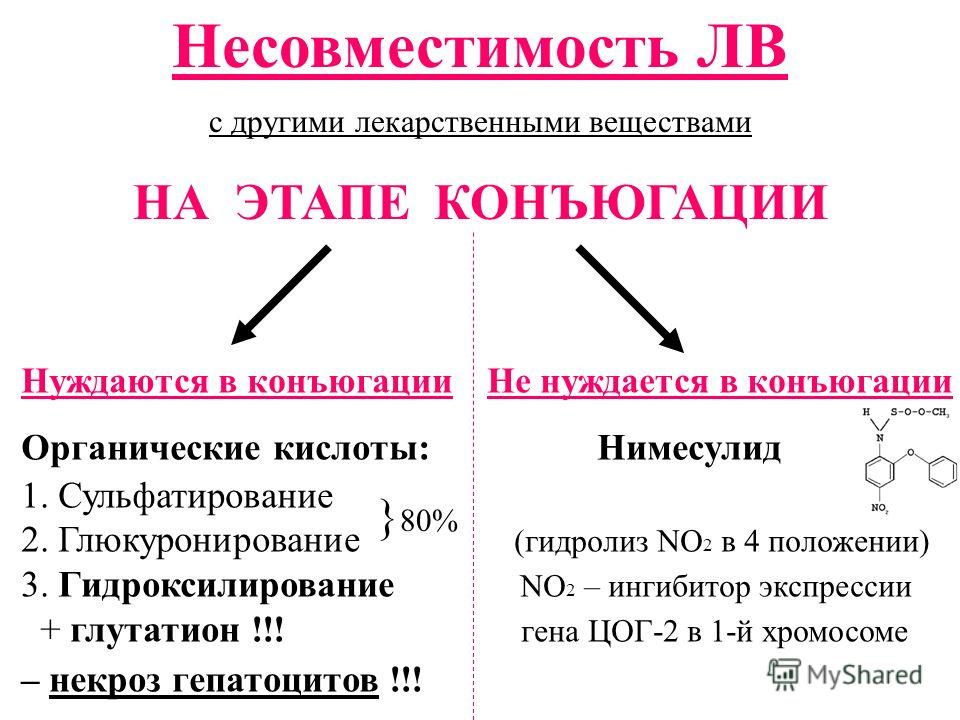 препараты для выведения глистов у взрослых препараты для выведения глистов у взрослых