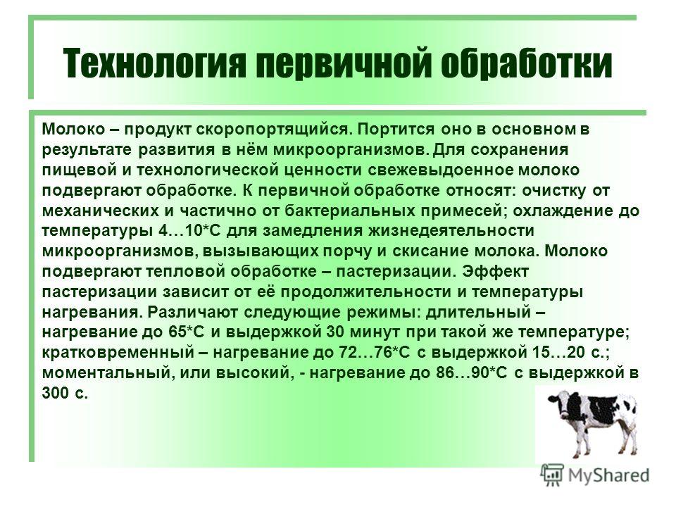 Технология обработки молочных продуктов проект 6 класс