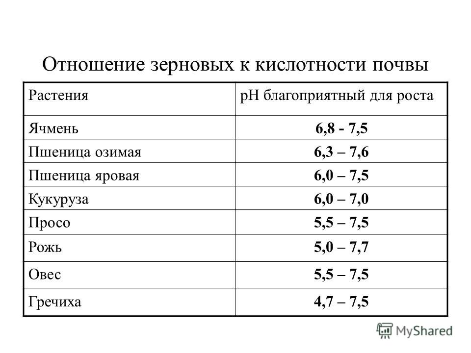 Антицеллюлитный массаж в домашних условиях вакуумной банкой Антицеллюлитный массаж в домашних условиях вакуумной банкой