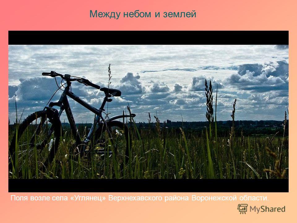 проститутки город углянец верхнехавский район воронежская область проститутки город углянец верхнехавский район воронежская область