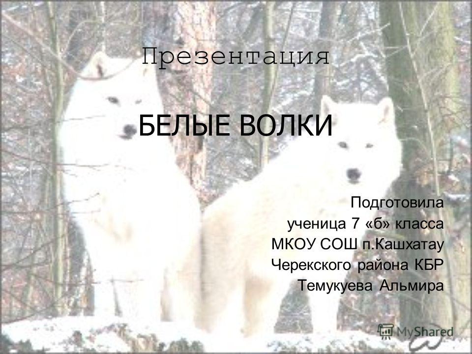 волки белые скачать
