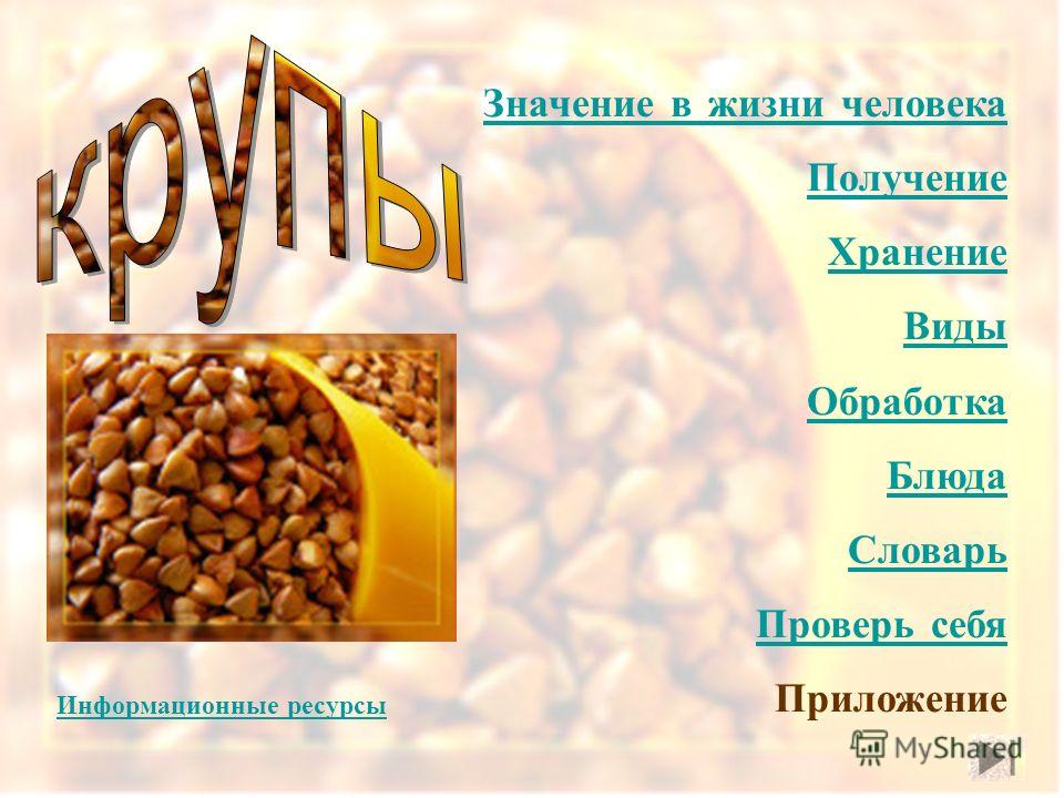 Баклажаны что приготовить рецепты