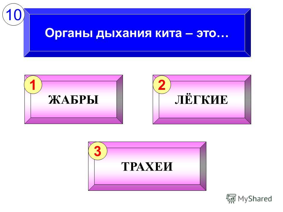 как называются паразиты живущие в человеке как называются паразиты живущие в человеке
