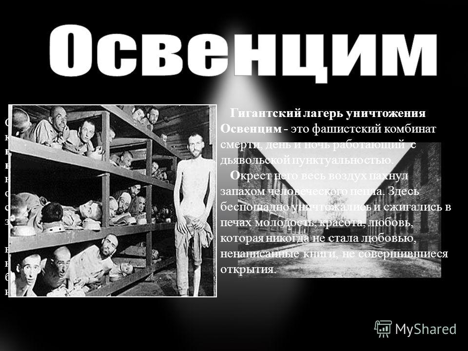 Мы откроем освенцим Мы откроем освенцим