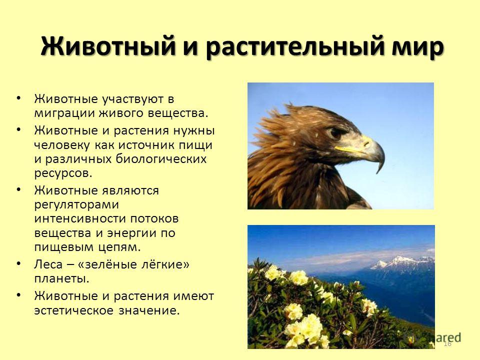 Проект животные красной книги 6 класс