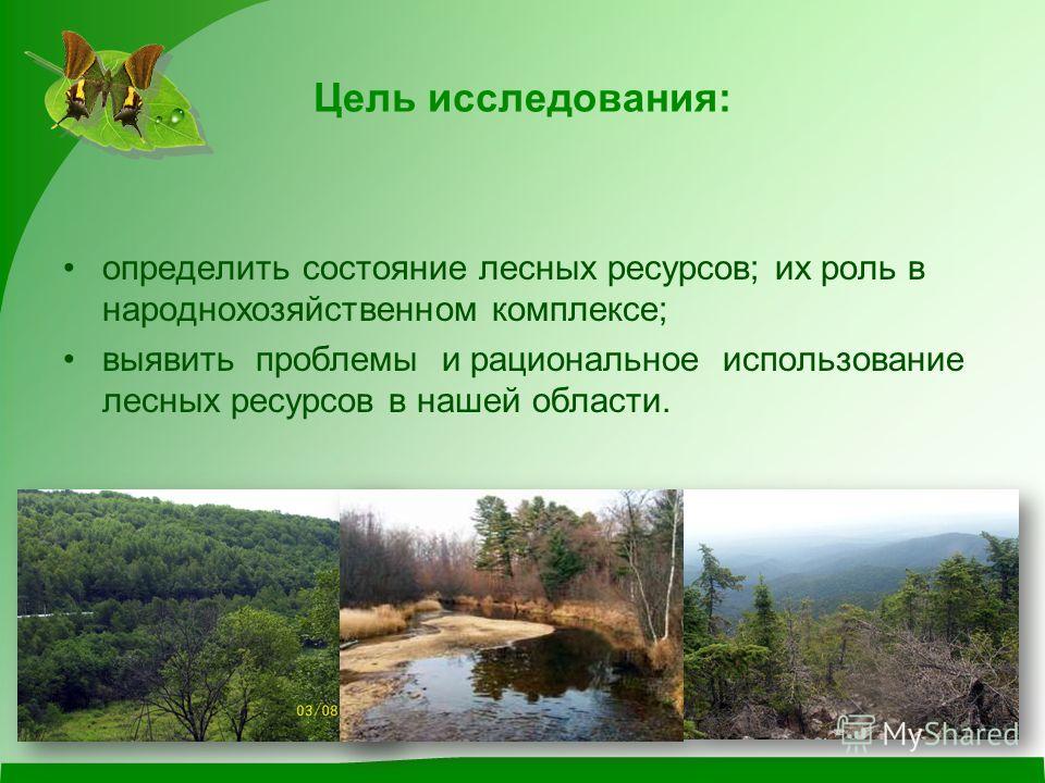 Реферат: Лесные ресурсы России и их роль в народнохозяйственном комплексе