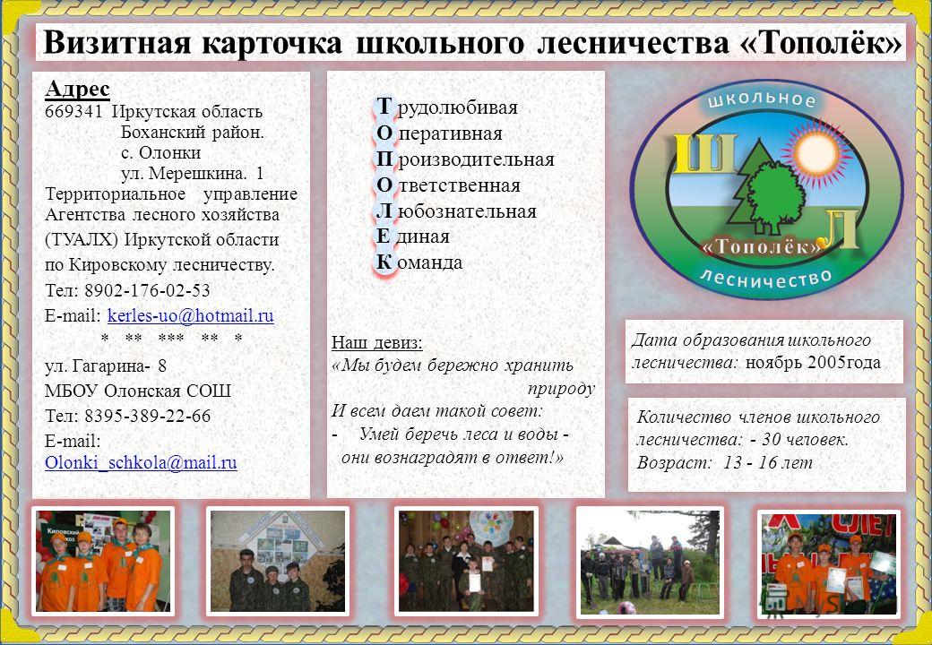 Визитка дома культуры сценарий Визитка дома культуры сценарий