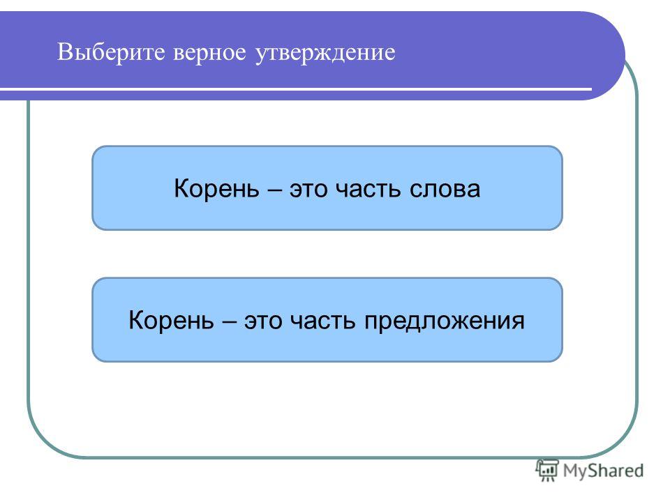 Корень это часть цветка Корень это часть цветка
