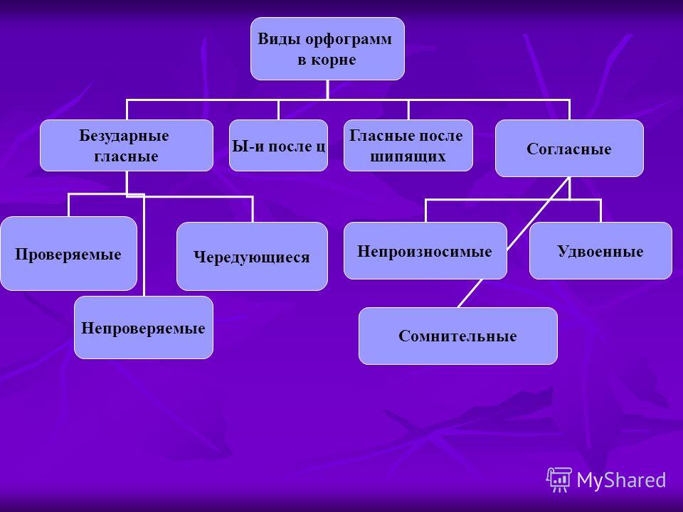 виды орфограмм в корне слова таблица