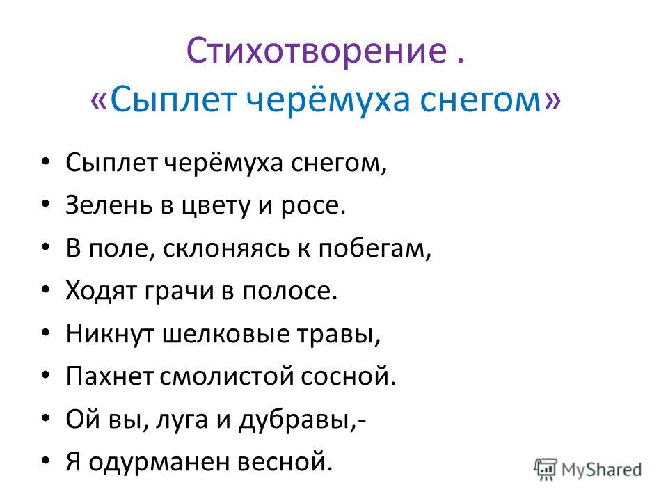 С а есенин стих сыплет черемуха снегом С а есенин стих сыплет черемуха снегом
