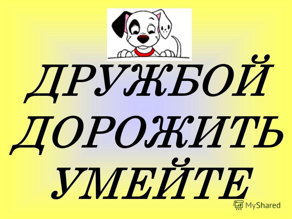 Картинки на тему природой дорожить умейте Картинки на тему природой дорожить умейте
