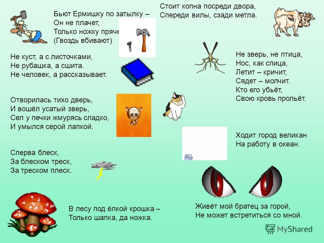 Отгадай загадку не куст а с листочками не рубашка а сшита не человека фото 805
